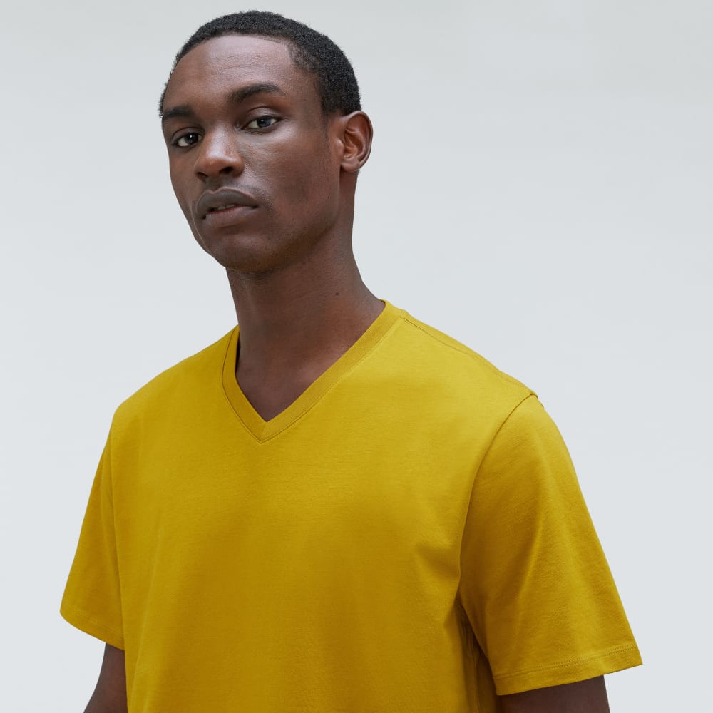 The Organic Cotton V-Neck Tee | Golden Palm