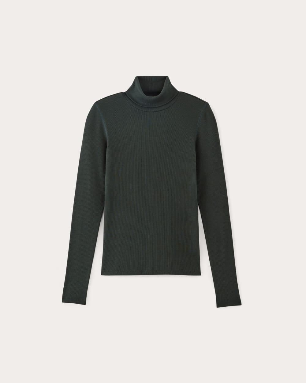 The Luxe Rib Turtleneck | Scarab