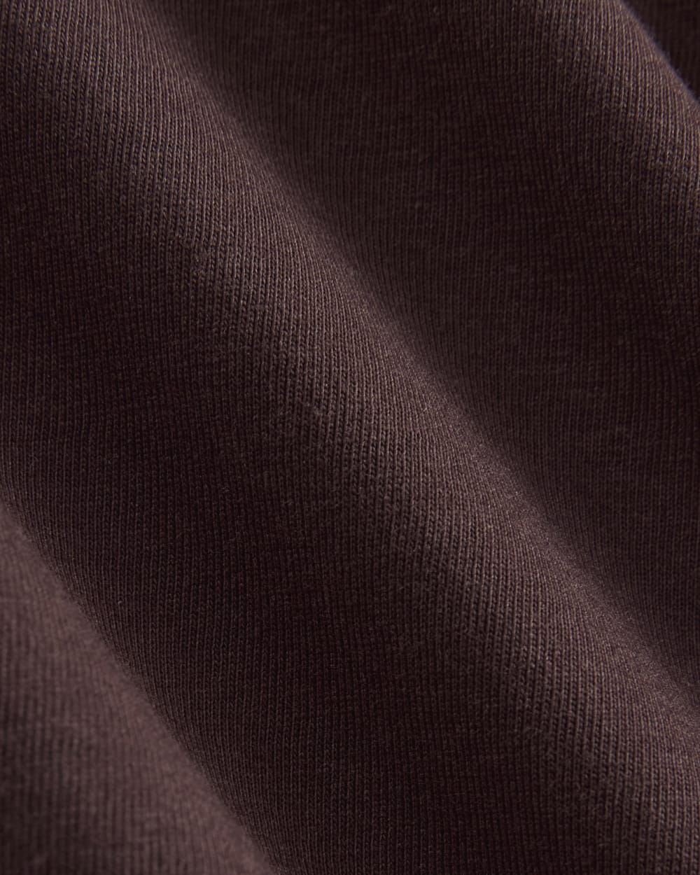 The Slim Long-Sleeve Crew in Essential Cotton | Dark Chocolate