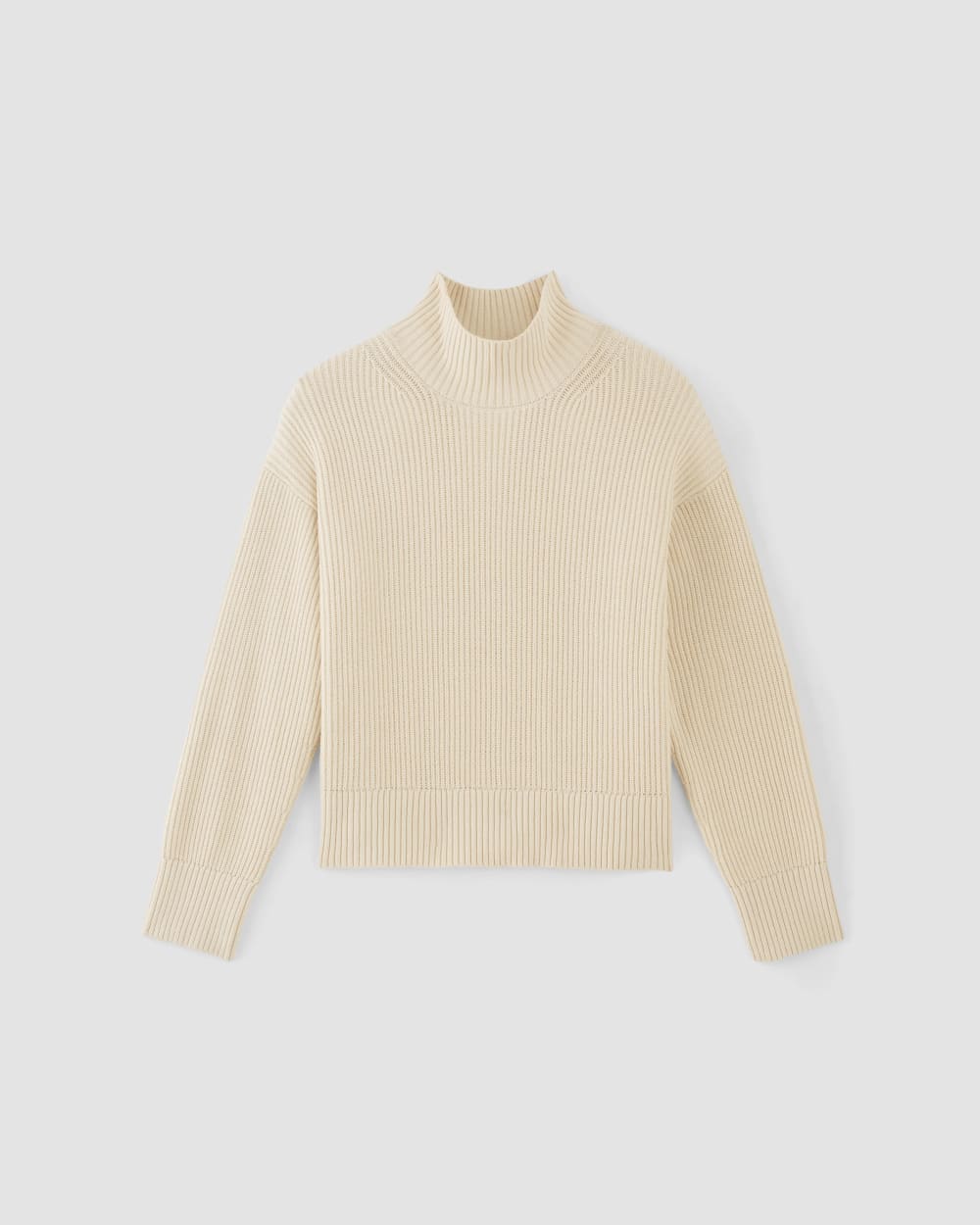 The Organic Cotton Ribbed Turtleneck | Canvas