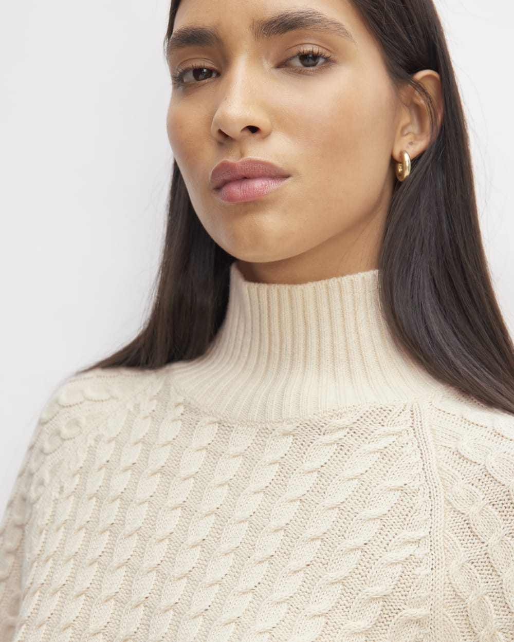 The Cotton Merino Cable Turtleneck | Canvas