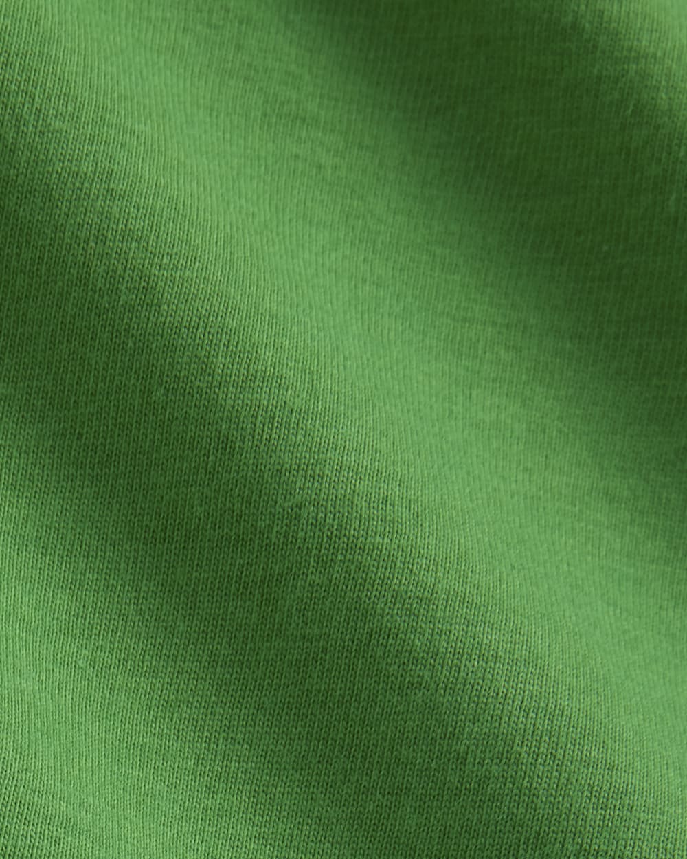 The Everlane x Parks Project Box-Cut Tee | Green / Natural